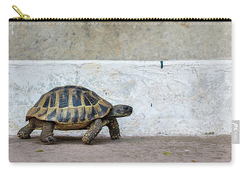 Animal Zip Pouch featuring the photograph Life in the Fast Lane by Rick Deacon