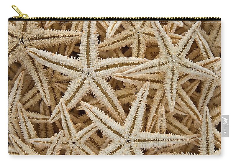 Starfish Zip Pouch featuring the photograph Like A Starfish by Tomasz Bobrzynski