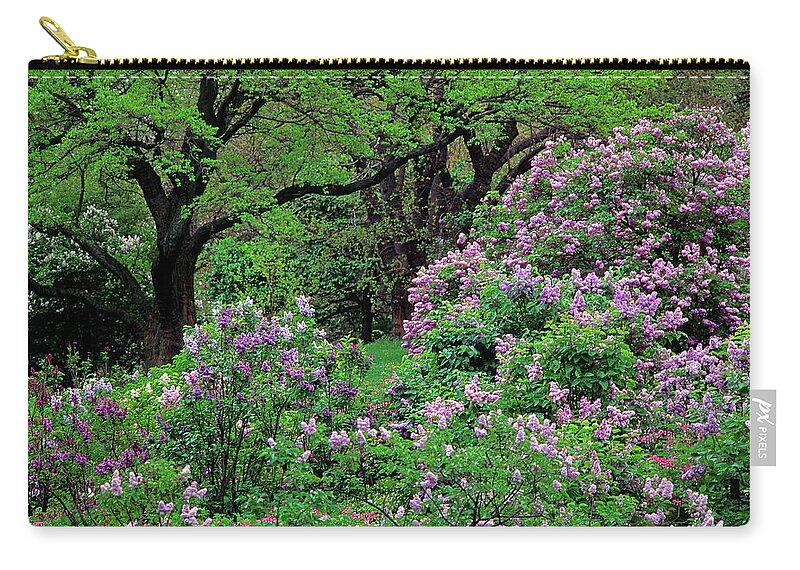 Outdoors Zip Pouch featuring the photograph Lilac At Arnold Arboretum by Richard Felber