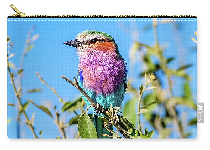 Bird Zip Pouch featuring the photograph Lilac Breasted Roller by Marcy Wielfaert
