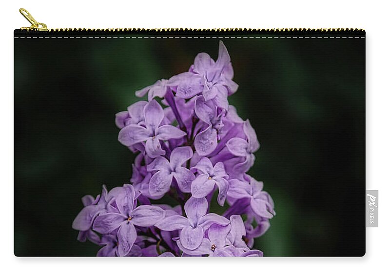 Lilac Zip Pouch featuring the photograph Lilacs for Annie by Ernest Echols