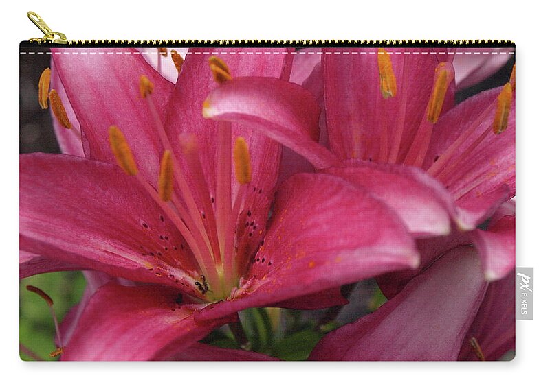 Lily Zip Pouch featuring the photograph Lilixplosion 2 by Jeffrey Peterson