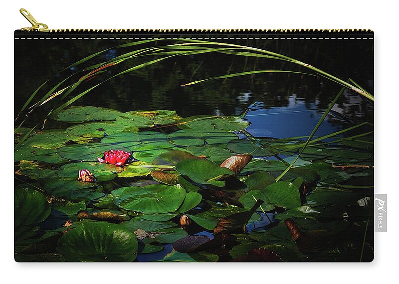 Flower Zip Pouch featuring the photograph Lily Arch by John Christopher