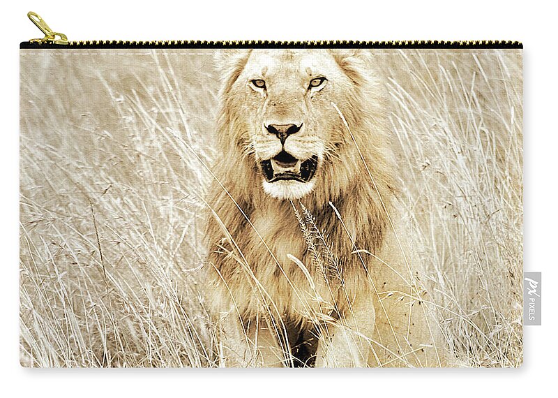 Lion Zip Pouch featuring the photograph Lion In Kenya by Sundance B