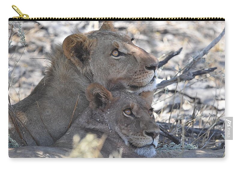 Lion Zip Pouch featuring the photograph Lion Pair by Ben Foster