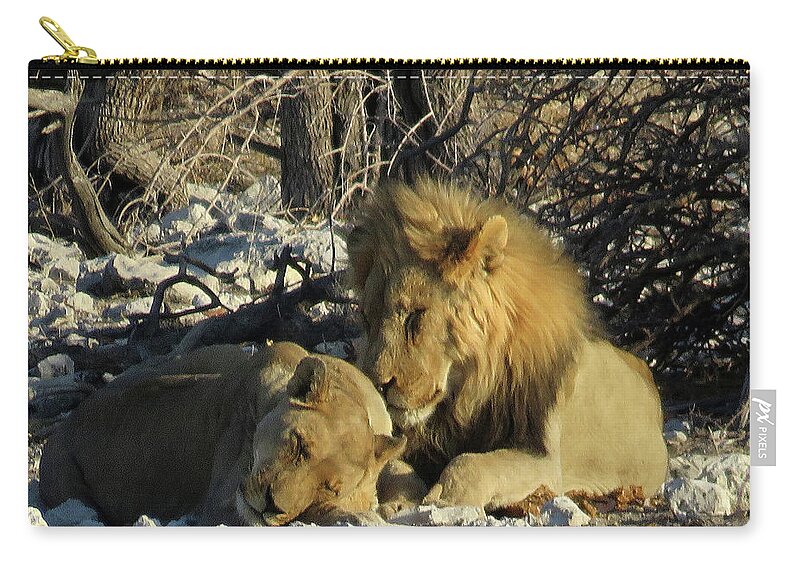 Zip Pouch featuring the photograph Lions by Eric Pengelly
