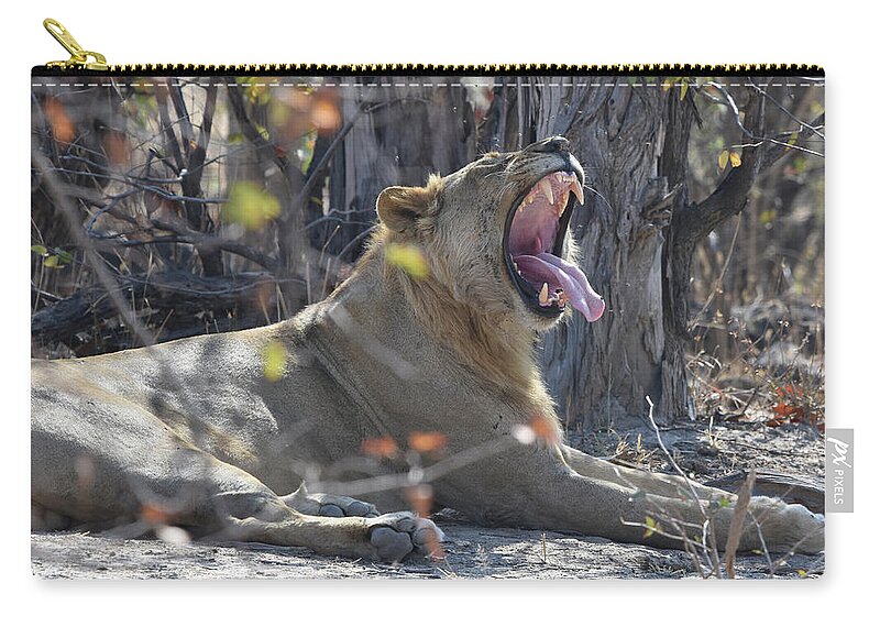 Lion Carry-all Pouch featuring the photograph Lion's Yawn by Ben Foster