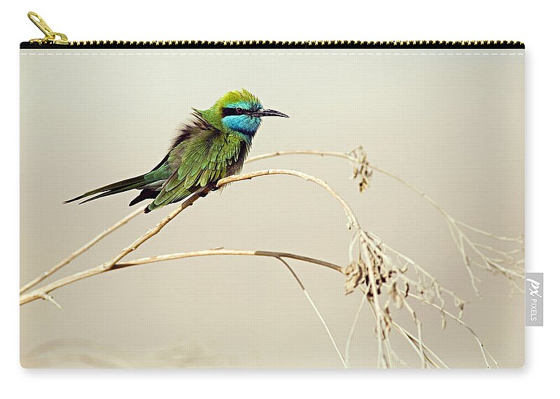 East Zip Pouch featuring the photograph Little Bee-eater, Merops Orientalis by Ilia Shalamaev Wwwfocuswildlifecom