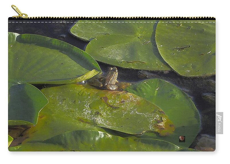 Animal Zip Pouch featuring the photograph Little Frog by Richard Thomas
