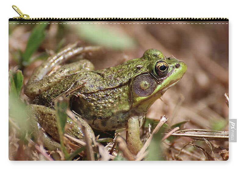 Frog Zip Pouch featuring the photograph Little Green Frog by William Selander