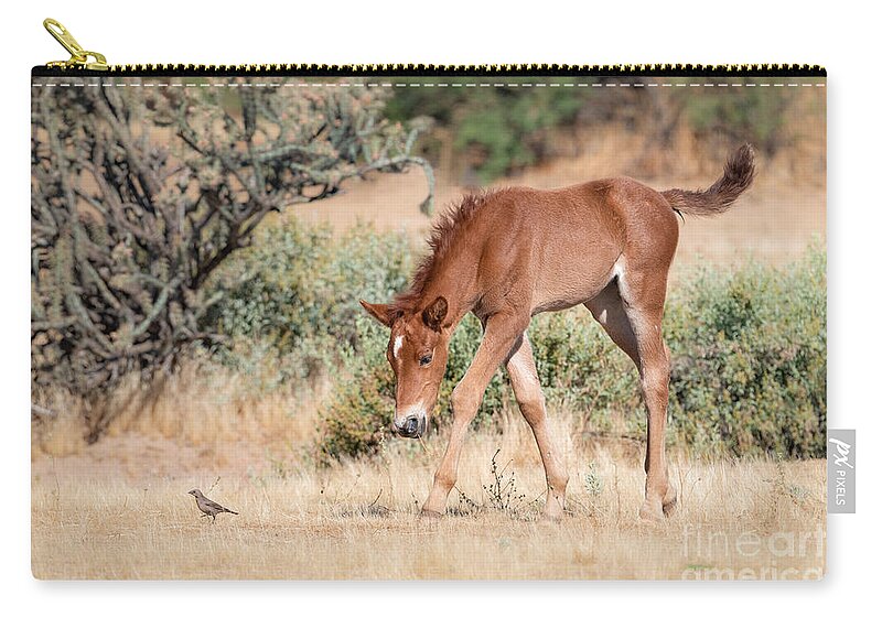 Mustang Zip Pouch featuring the photograph Little Mustang and Bird by Lisa Manifold