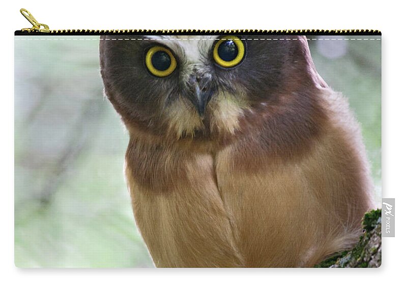 Birds Carry-all Pouch featuring the photograph Little Owl by Wesley Aston