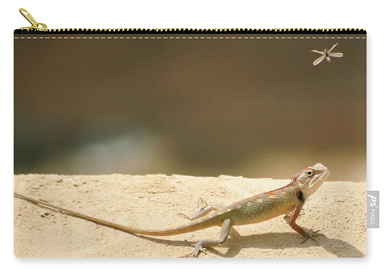 Alertness Zip Pouch featuring the photograph Lizards by Shahzeb Nasir