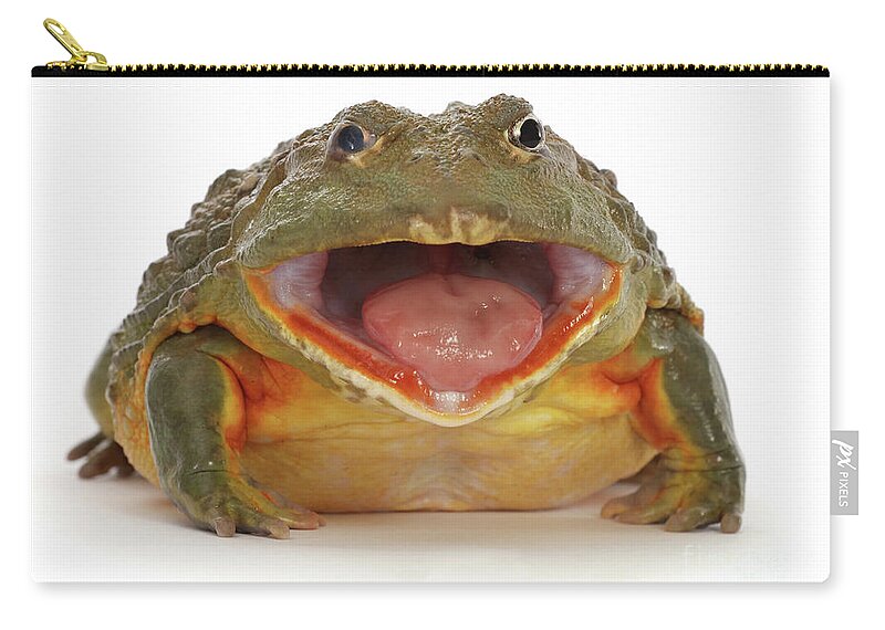 African Bullfrog Zip Pouch featuring the photograph Load of Bull-frog by Warren Photographic