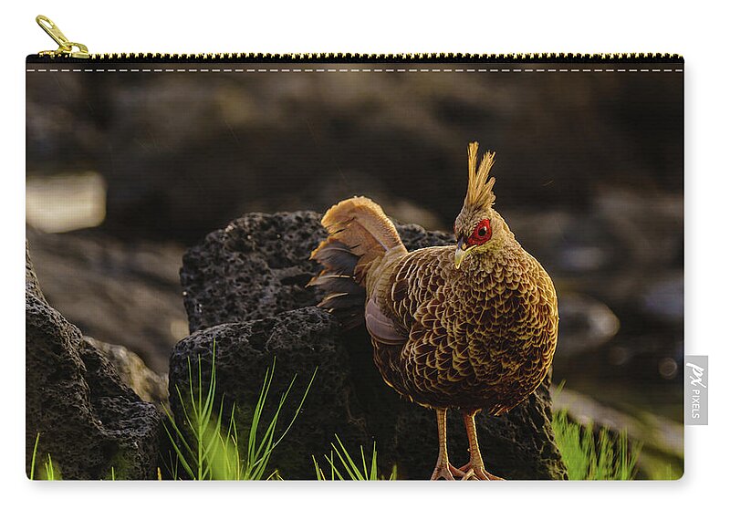 Hawaii Zip Pouch featuring the photograph Local Pheasant by John Bauer