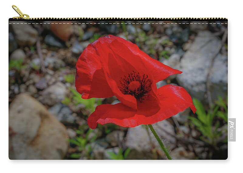 Flower Zip Pouch featuring the photograph Lone Red Flower by Lora J Wilson