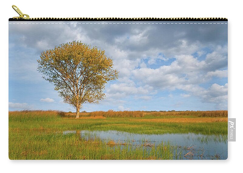 Autumn Carry-all Pouch featuring the photograph Lone Tree by a Wetland by Jeff Goulden