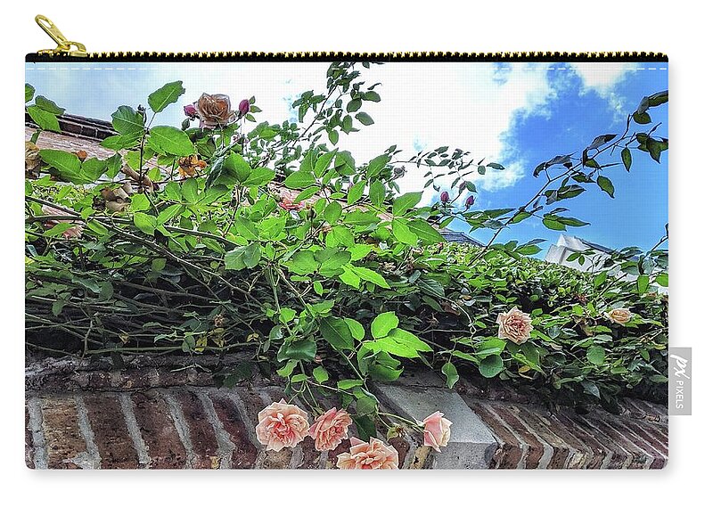 Peach Flowers Carry-all Pouch featuring the photograph Look Up by Portia Olaughlin