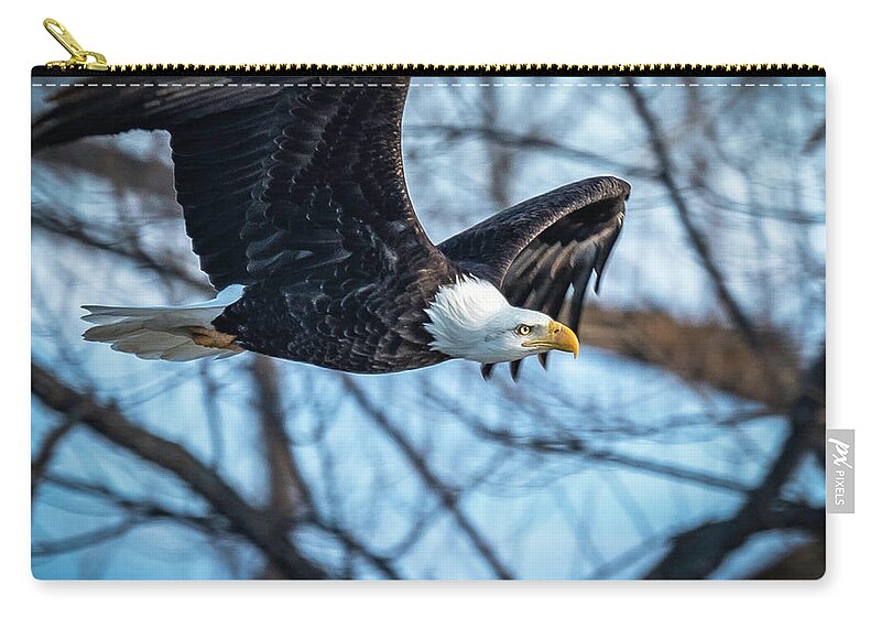 Eagle Zip Pouch featuring the photograph Looking Into the Sun by Laura Hedien