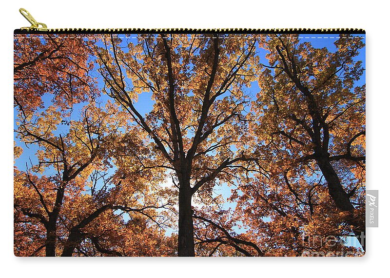Fall Zip Pouch featuring the photograph Looking Up #8 by Rick Rauzi