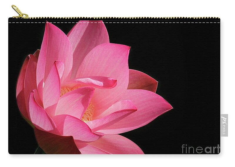 Lotus Zip Pouch featuring the photograph Lotus Diva by Sabrina L Ryan