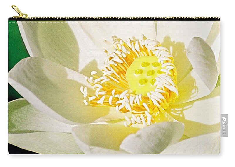 Flowers Zip Pouch featuring the photograph Lotus by Joan Cordell