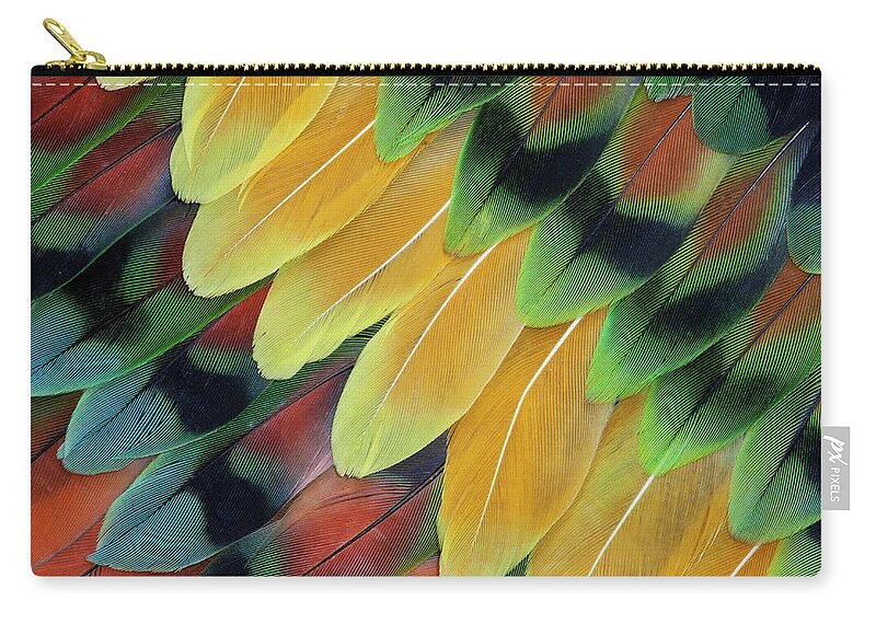 In A Row Zip Pouch featuring the photograph Lovebird Tail Feather Fanning Out Design by Darrell Gulin