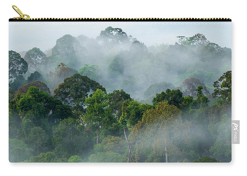 Sebastian Kennerknecht Zip Pouch featuring the photograph Lowland Rainforest In Sabah, Borneo by Sebastian Kennerknecht