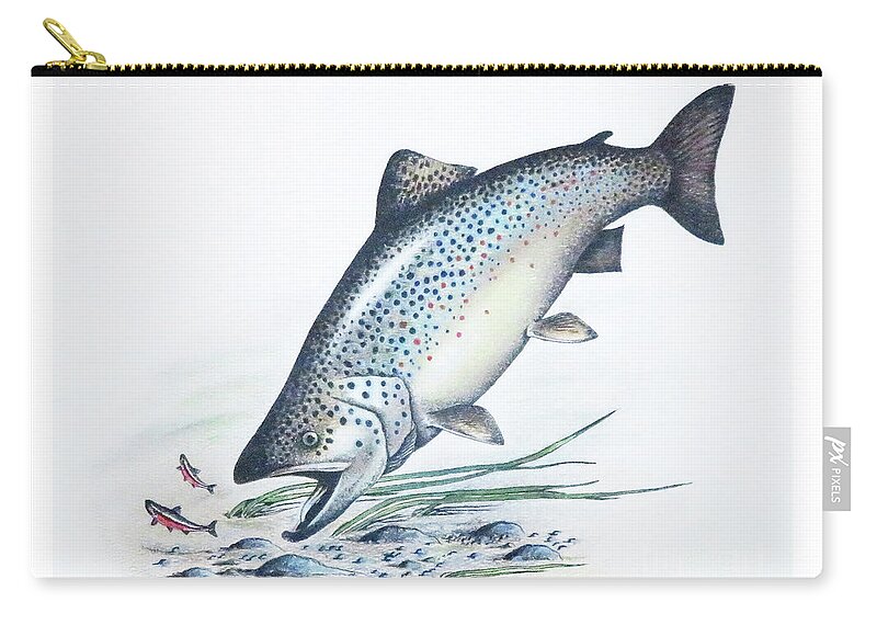 Atlantic Salmon Zip Pouch featuring the mixed media Lunch Time by Art MacKay