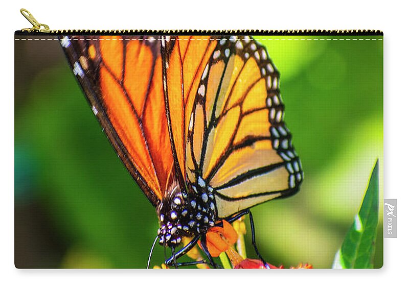 Butterfly Zip Pouch featuring the digital art M Monarch Butterfly One by Anthony Ellis