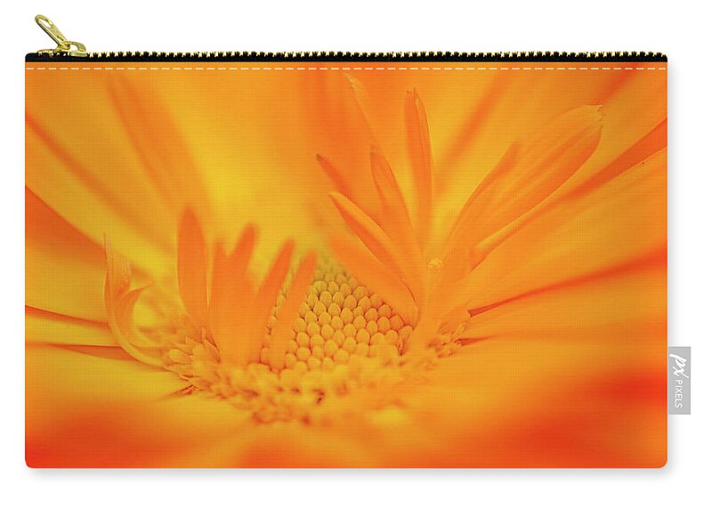 Macro Carry-all Pouch featuring the photograph Macro Orange 2 by Kathy Paynter