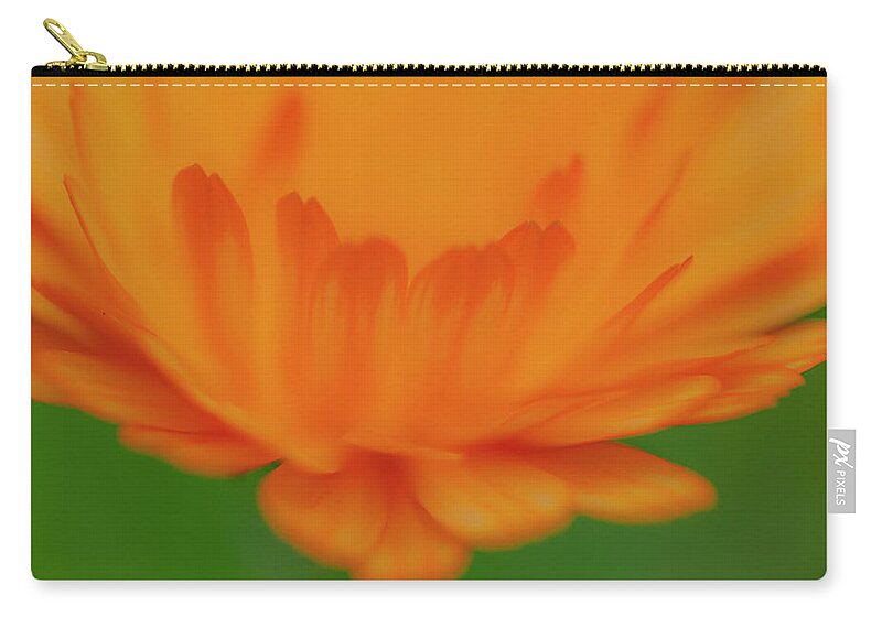 Macro Carry-all Pouch featuring the photograph Macro Orange 3 by Kathy Paynter