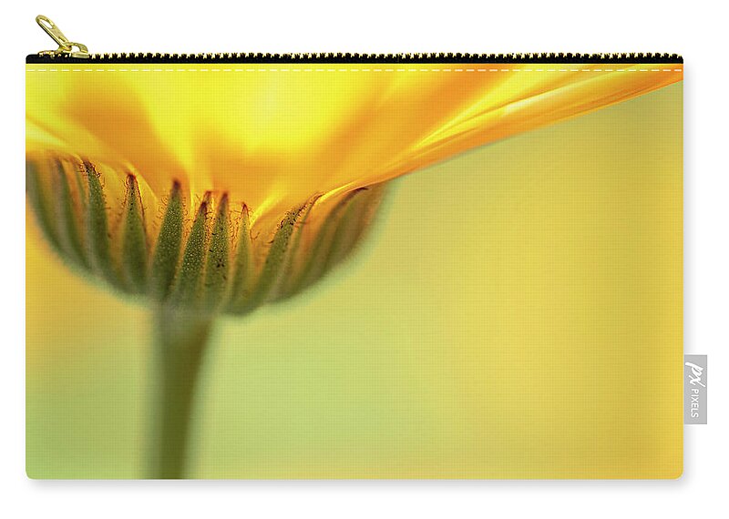 Macro Carry-all Pouch featuring the photograph Macro Orange 5 by Kathy Paynter