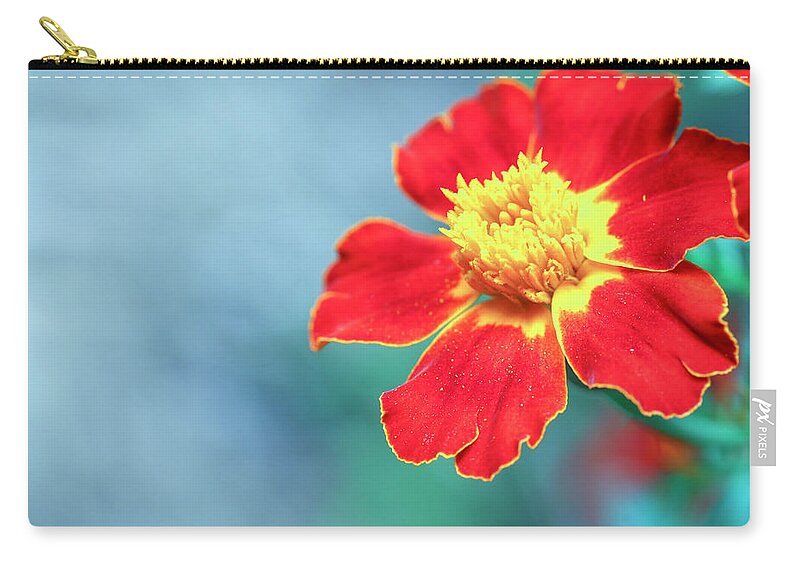 Marigold Zip Pouch featuring the photograph Magical Marigold Bloom by Laura Smith
