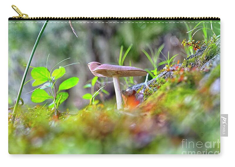 Myakka State Park Zip Pouch featuring the photograph Magical Mushroom by Alison Belsan Horton