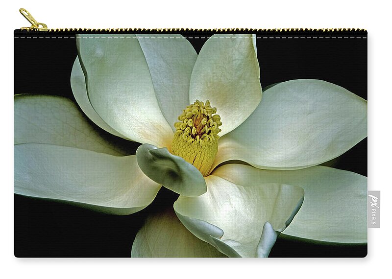 Magnolia Zip Pouch featuring the photograph Magnolia 2006 01 by Jim Dollar