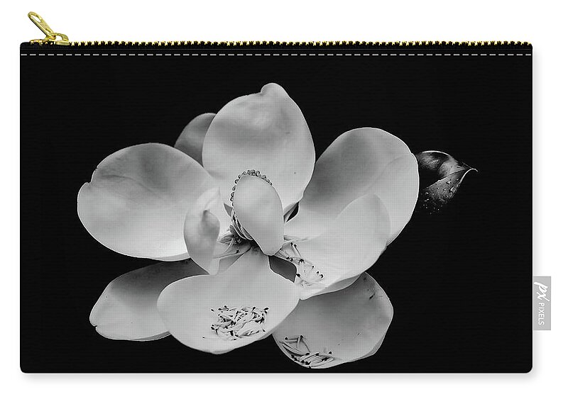 Black Zip Pouch featuring the photograph Magnolia Blossom on Black by Darryl Brooks