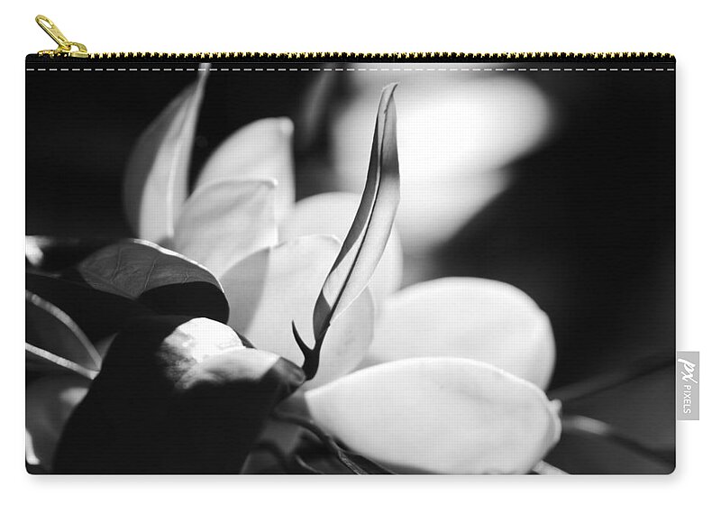 Jane Ford Zip Pouch featuring the photograph Magnolia flower by Jane Ford