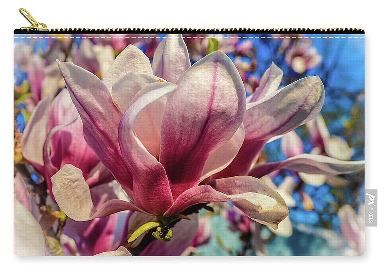 Flowers/plants Zip Pouch featuring the photograph Magnolia flowers by Louis Dallara
