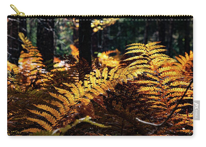 Autumn Zip Pouch featuring the photograph Maine Autumn Ferns by Jeff Folger