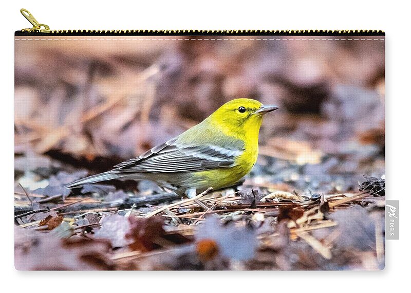 Pine Warbler Zip Pouch featuring the photograph Majestic Pine Warbler by Mary Ann Artz