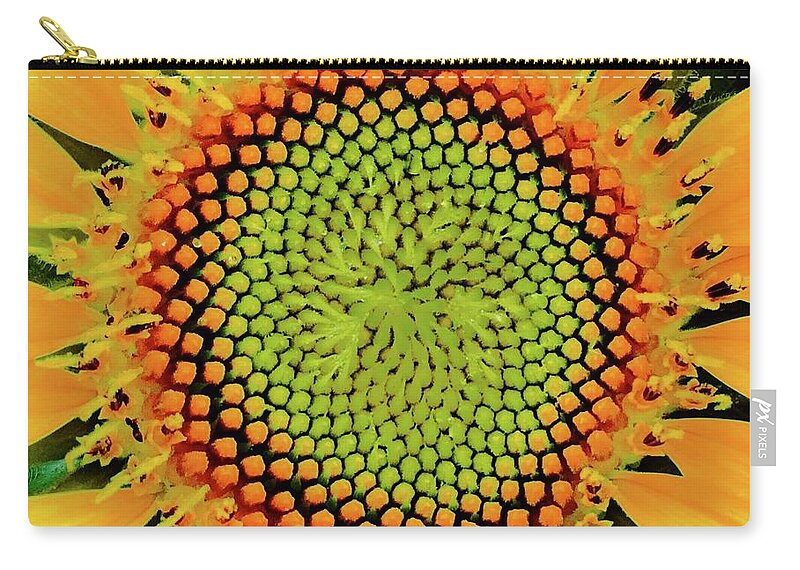 Sunflower In Bloom Zip Pouch featuring the photograph Makes Me Dizzy by Debra Grace Addison