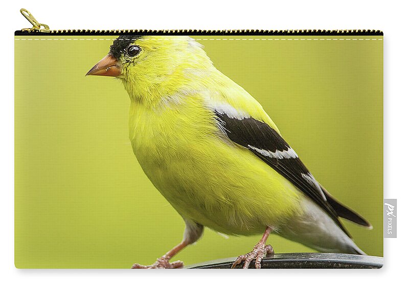 Bethesda Carry-all Pouch featuring the photograph Male Goldfinch by Edward H. Pien