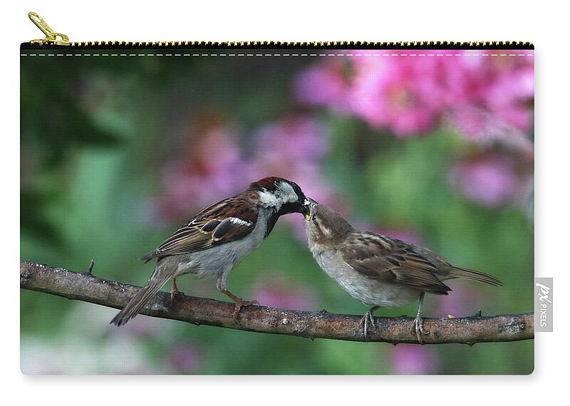 Birds Zip Pouch featuring the photograph Mama and Baby Sparrow by Trina Ansel