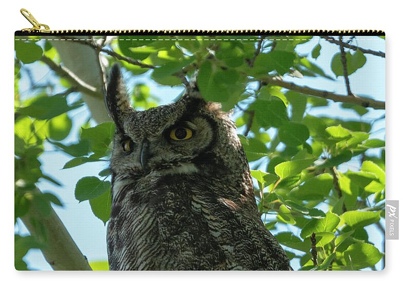 Owl Zip Pouch featuring the photograph Mama Owl by Michael Dawson