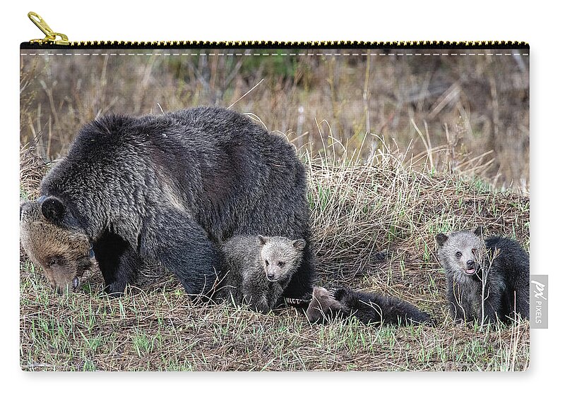 Grizzly Zip Pouch featuring the photograph Mamma and three by Shannon Carson