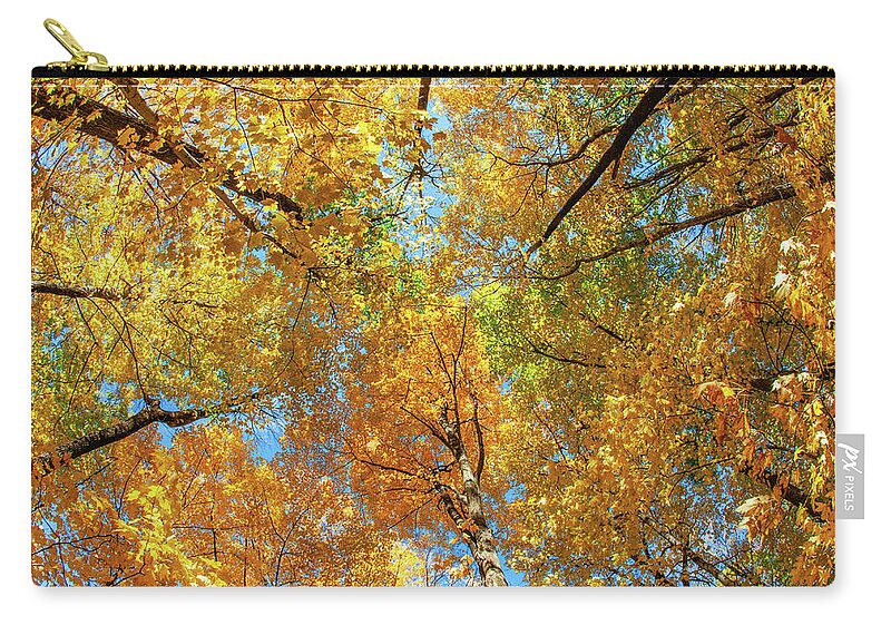Canopy Zip Pouch featuring the photograph Maple Canopy by Todd Klassy