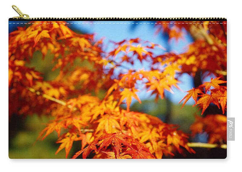 Orange Color Zip Pouch featuring the photograph Maple Leaf Blossom by ++++++