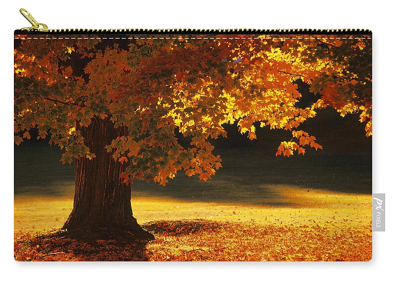 Scenics Zip Pouch featuring the photograph Maple Tree , Bennington , Vermont by Comstock