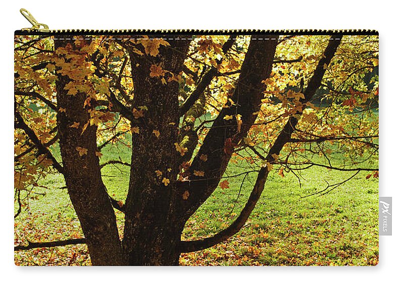 Scenics Zip Pouch featuring the photograph Maple Tree, Eschachtal by Jochen Schlenker